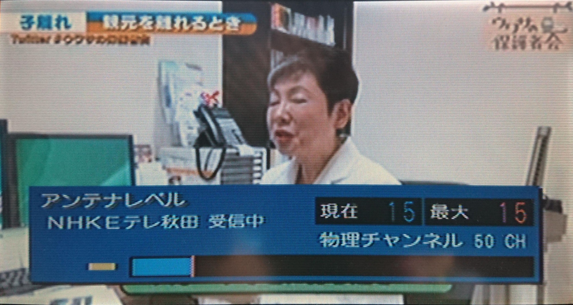 E�ƥ콩�ġ��Ŀ�������Į����