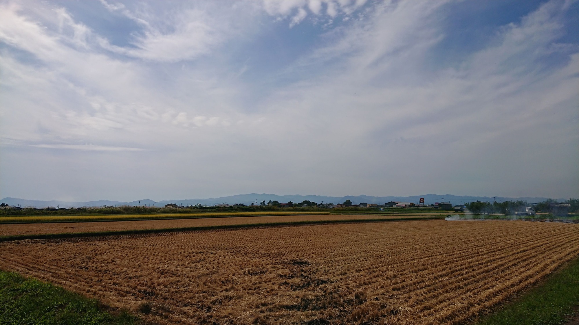 DSC_5376