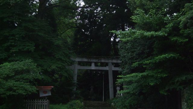 tngr001