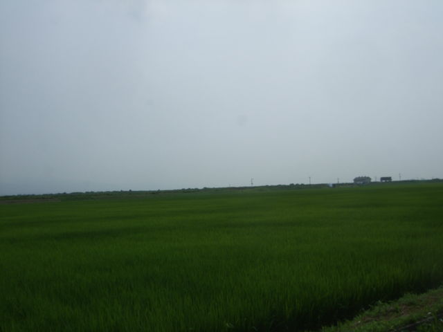 sado012