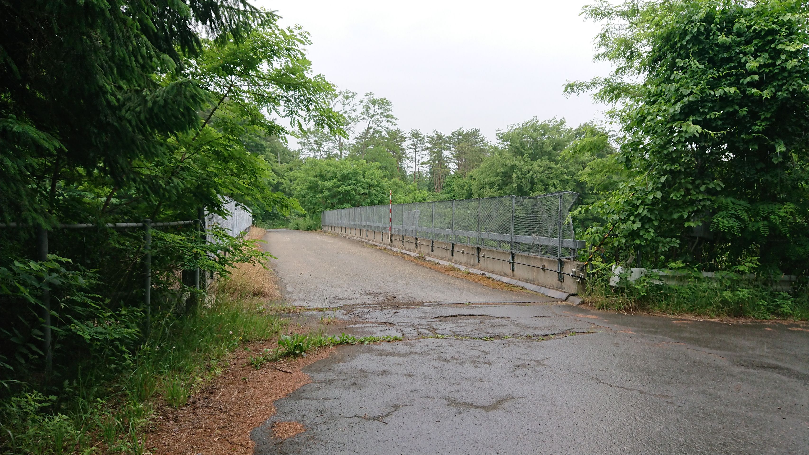 ブロ玉(Blog Saitama)道路・チャリ・廃温泉
      東北道青森IC「おつかれさまでした」と公団フォントと
    コメント