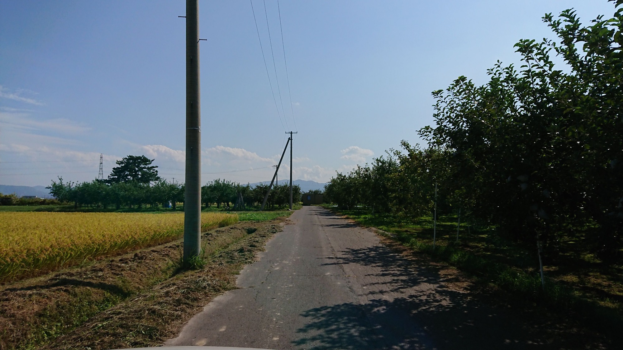 DSC_5155
