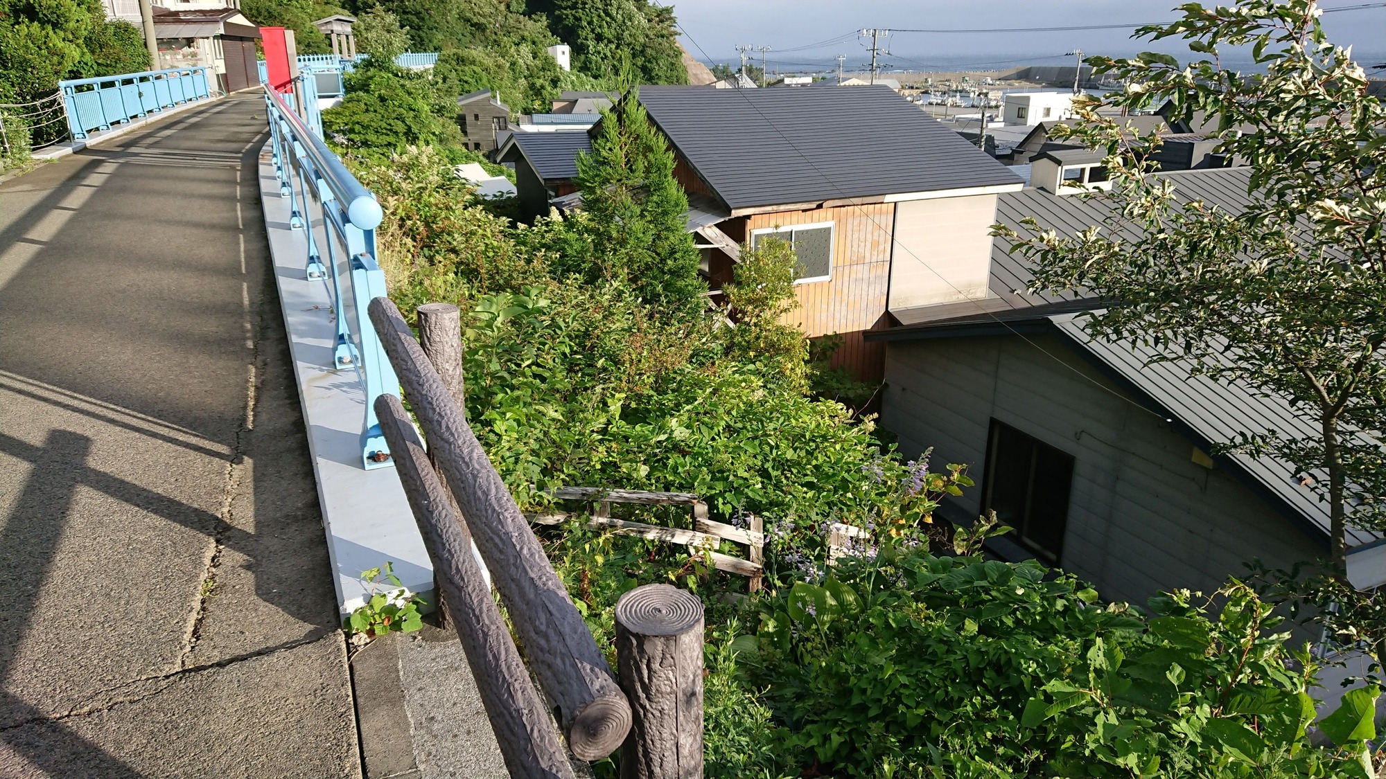 DSC_4651