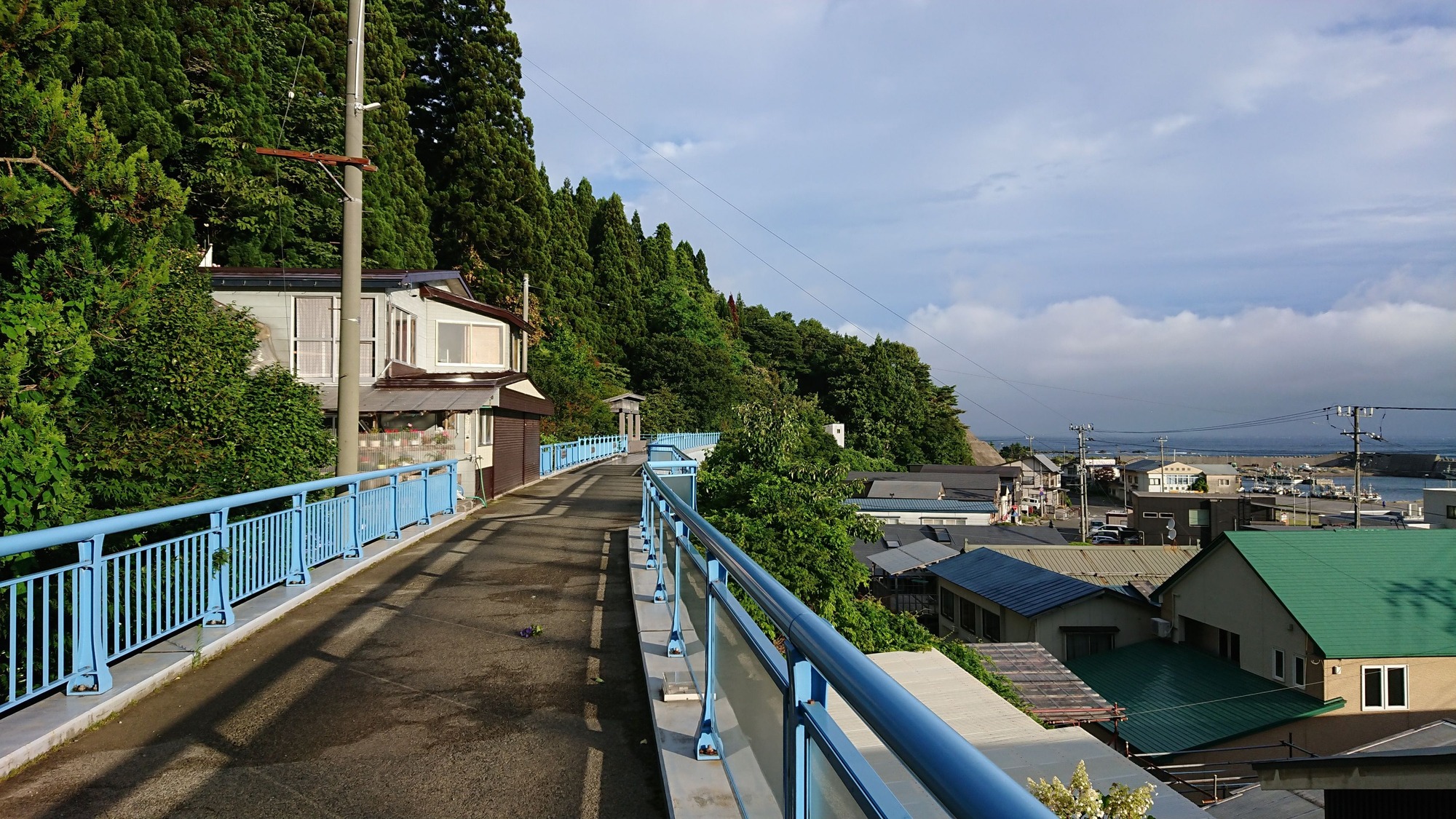 DSC_4649