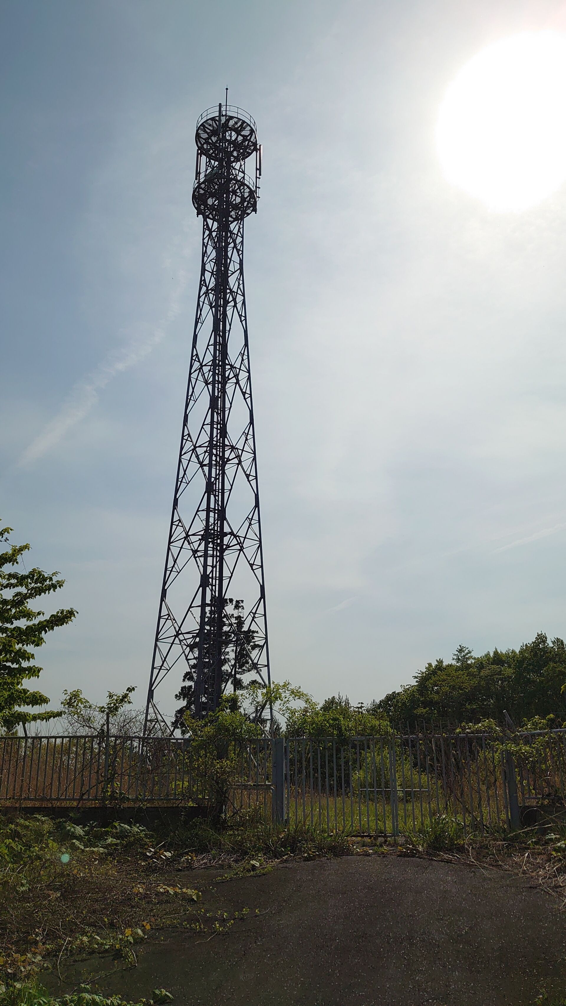 DSC_1118