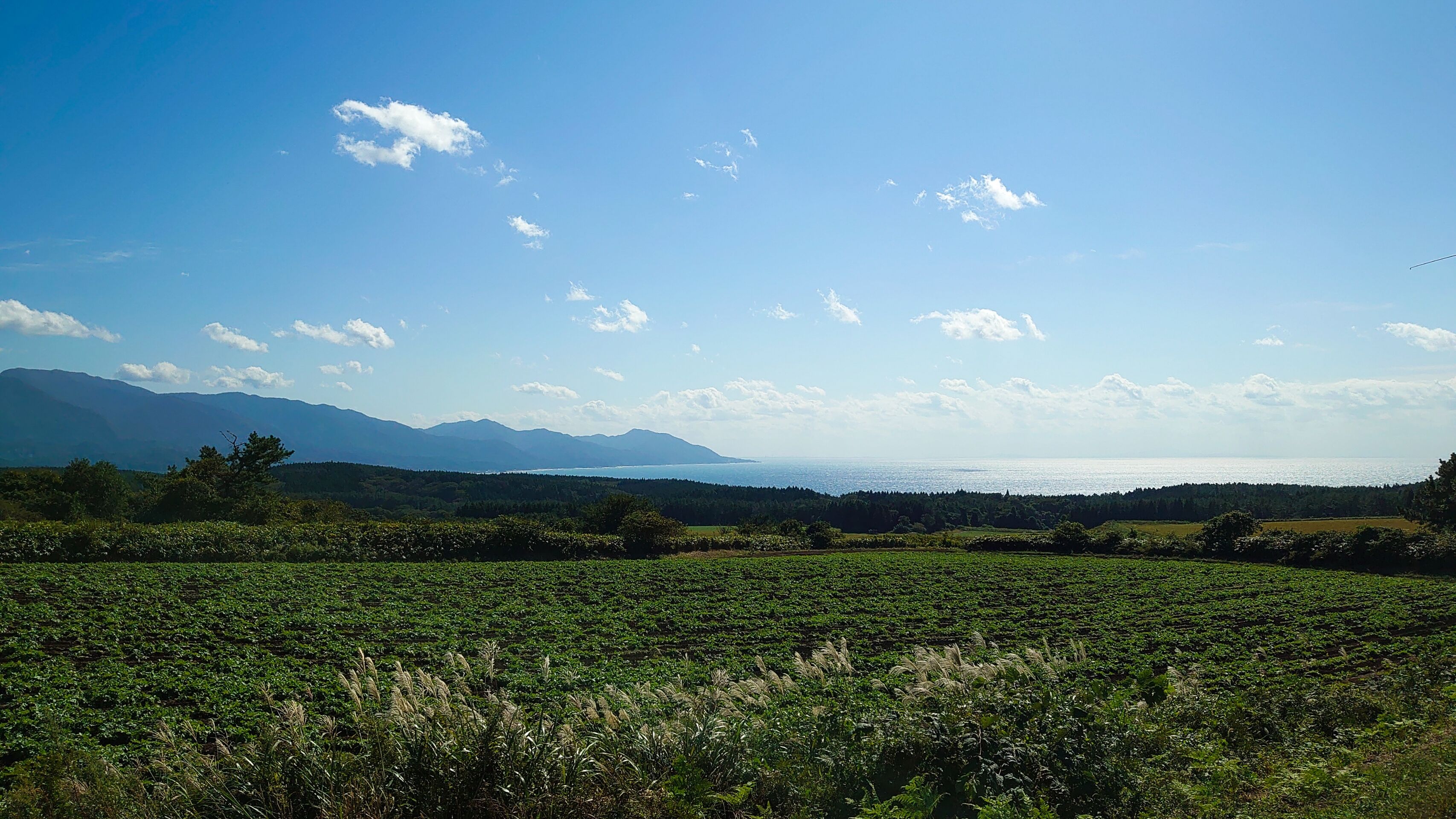 DSC_1077