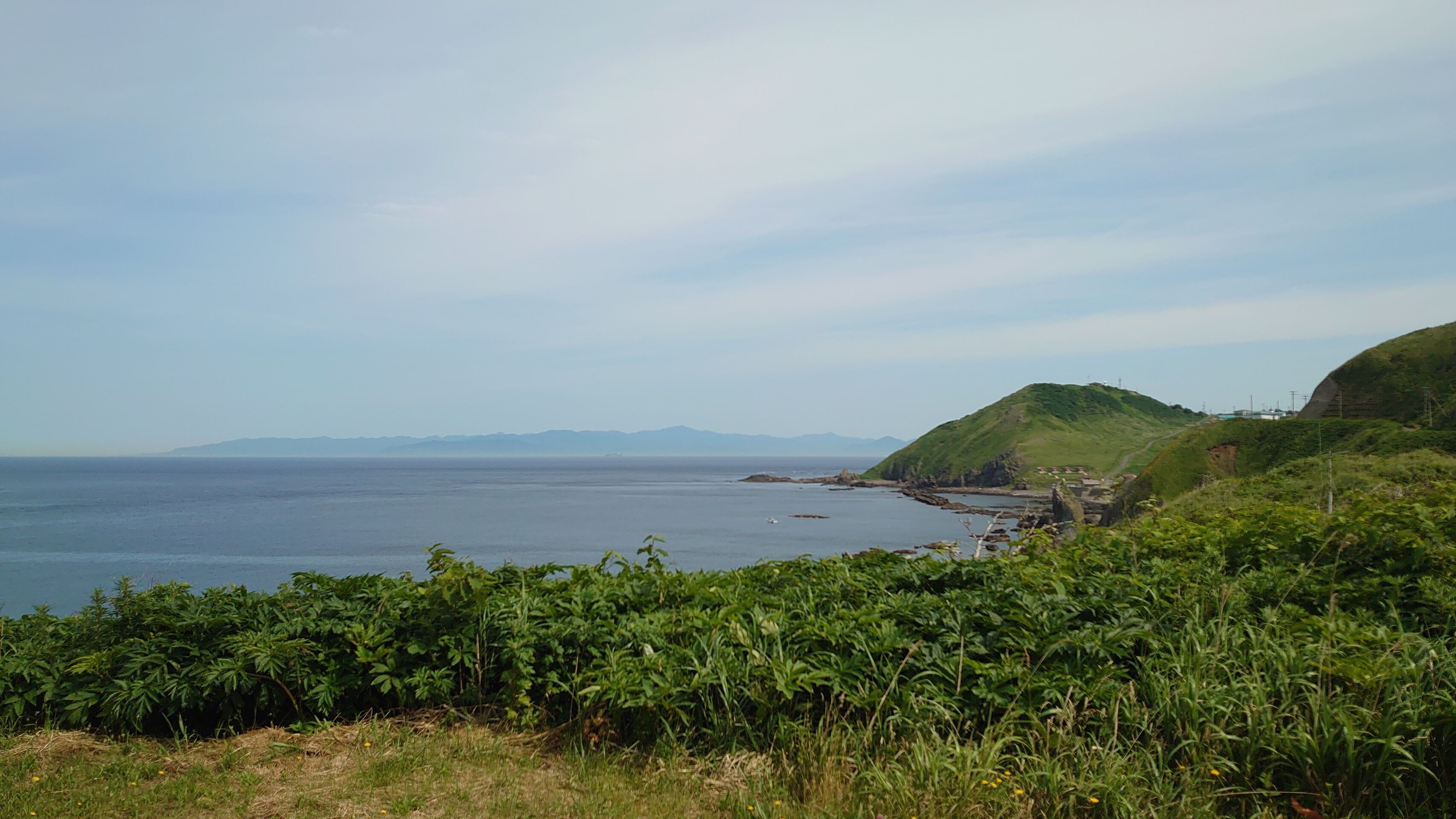 ������ʡ�ζ����