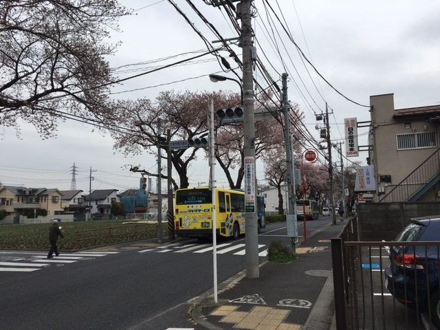 練馬区 大泉学園交番前交差点 交差点コレクション 練馬区 大泉学園交番前交差点 交差点コレクション