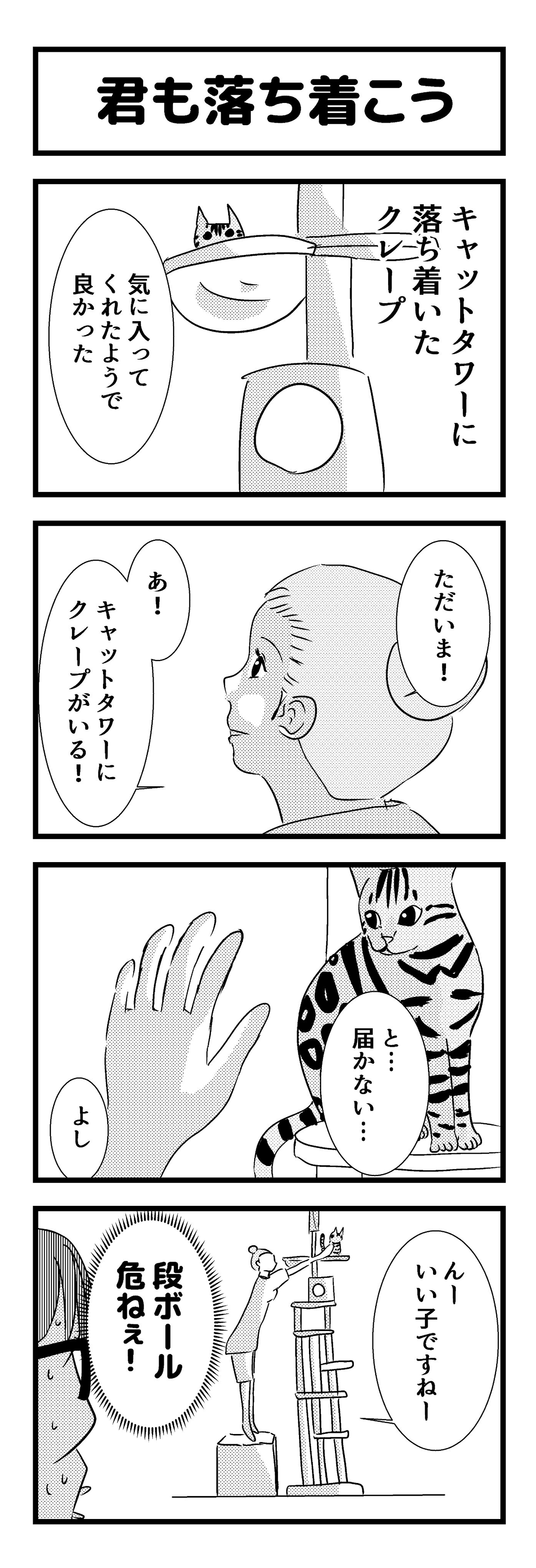 54 君も落ち着こう 猫に興味のなかった僕と愛猫との生活 54 君も落ち着こう 猫に興味のなかった僕と愛猫との生活