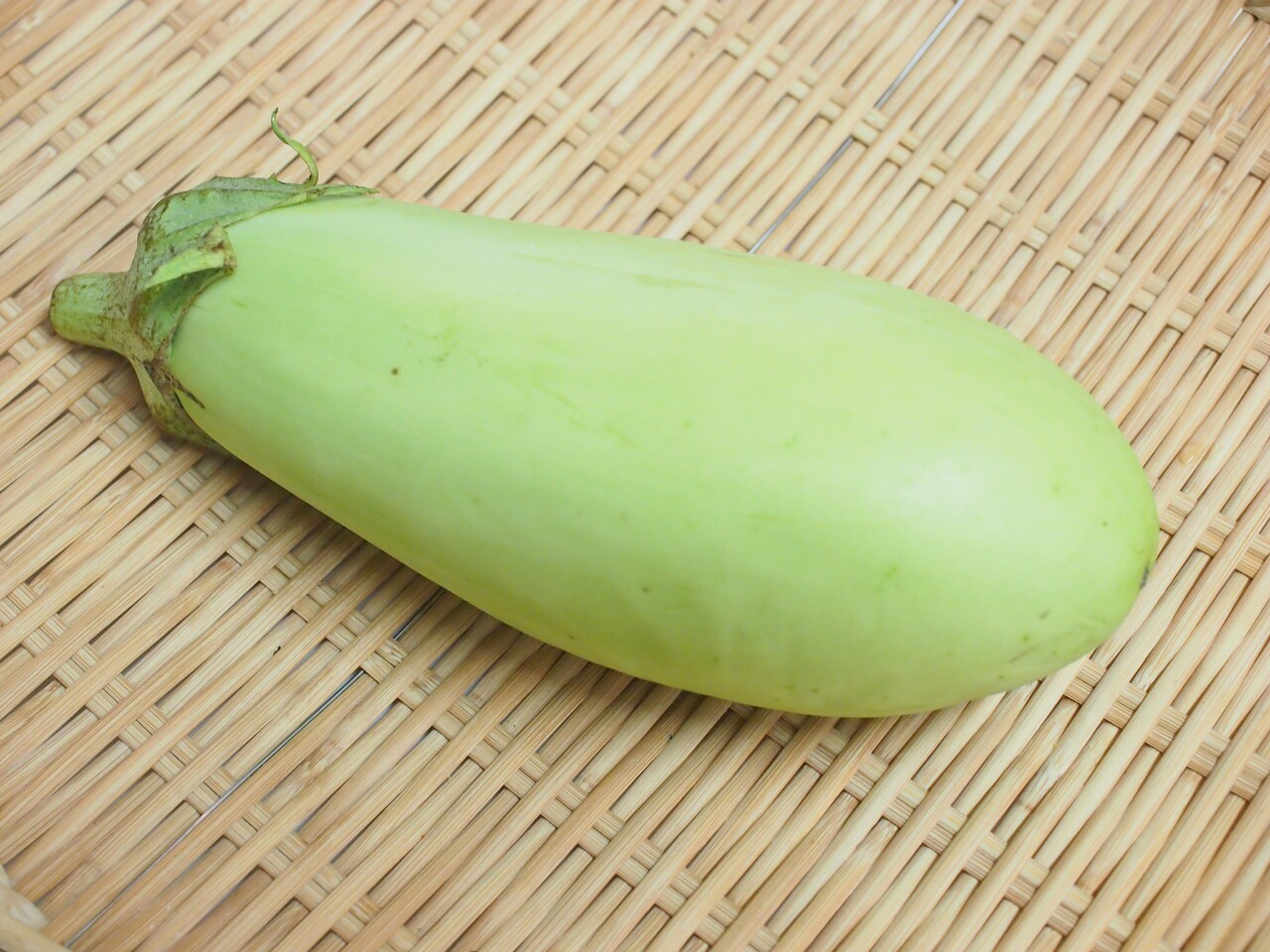 とろける旨さ 農家ごはん風 青なすのステーキ 気まぐれキッチン Andante