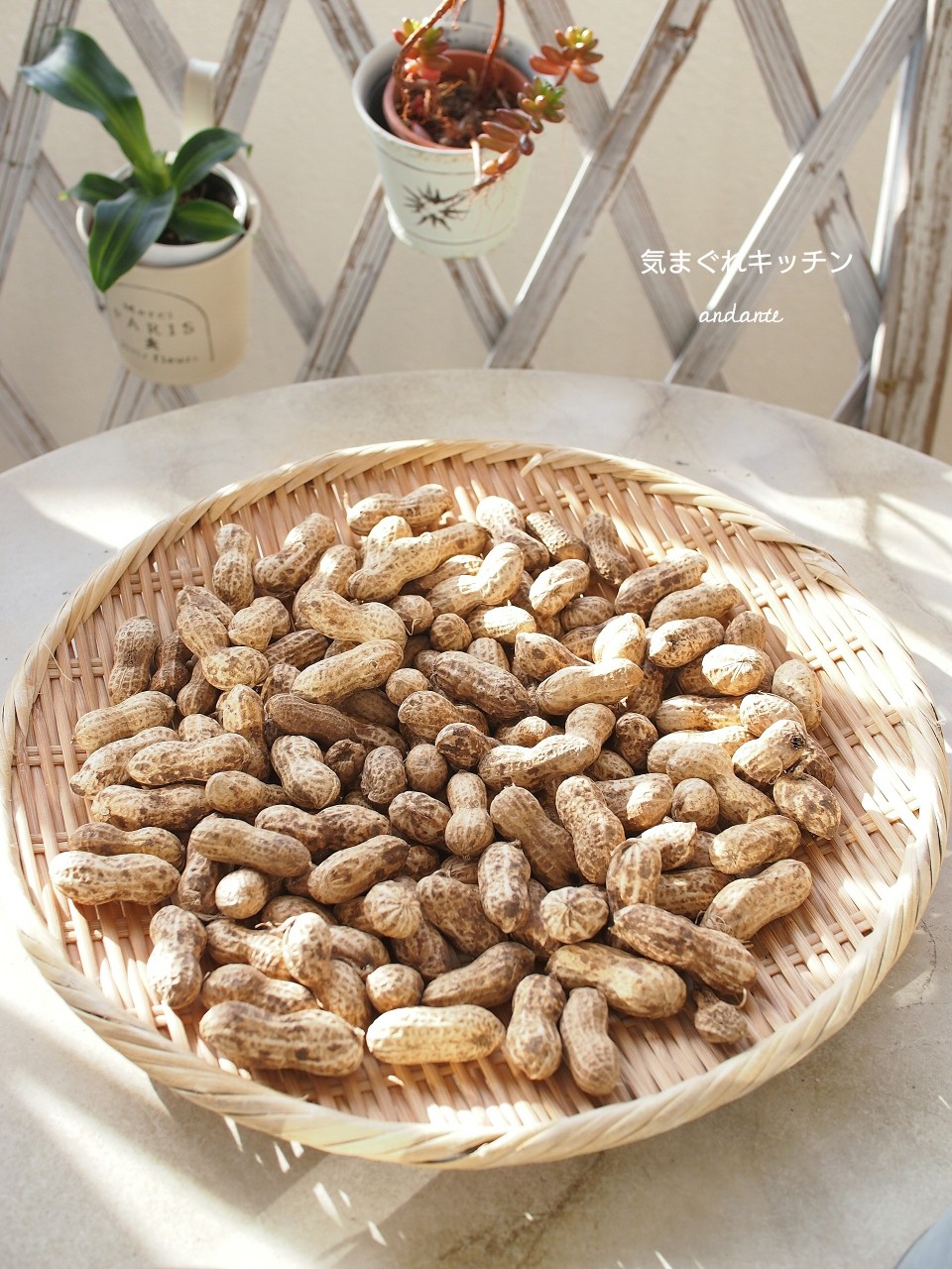 オーブンで簡単 香ばしく 実家の生落花生のロースト 気まぐれキッチン Andante オーブンで簡単 香ばしく 実家の生落花生のロースト 気まぐれキッチン Andante