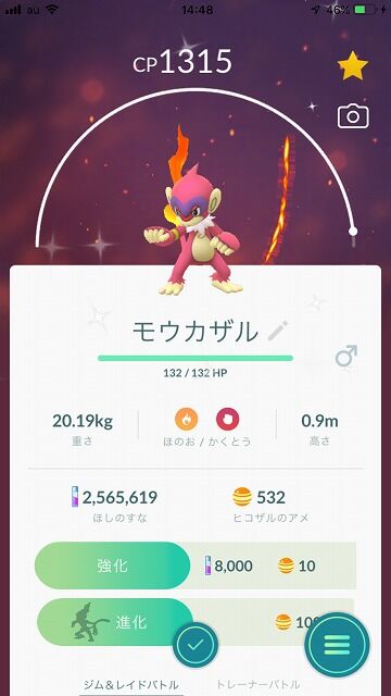 すべては ボクのかんぺきなけいかくなのサ ベンチと星空と花びら