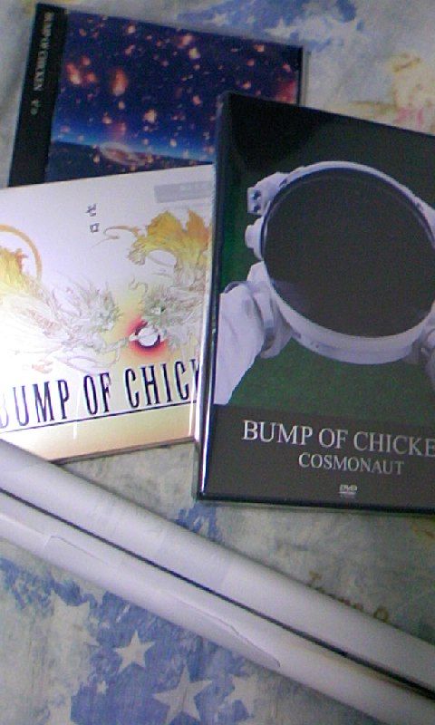ゼロ Smile ベンチと星空と花びら