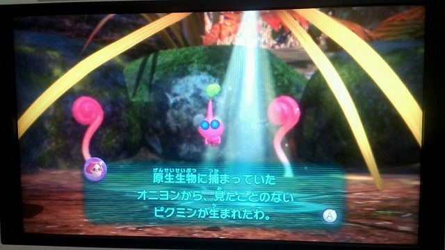 動くとこのデリケートな 回線 がプチンと切れるじゃあないか ベンチと星空と花びら