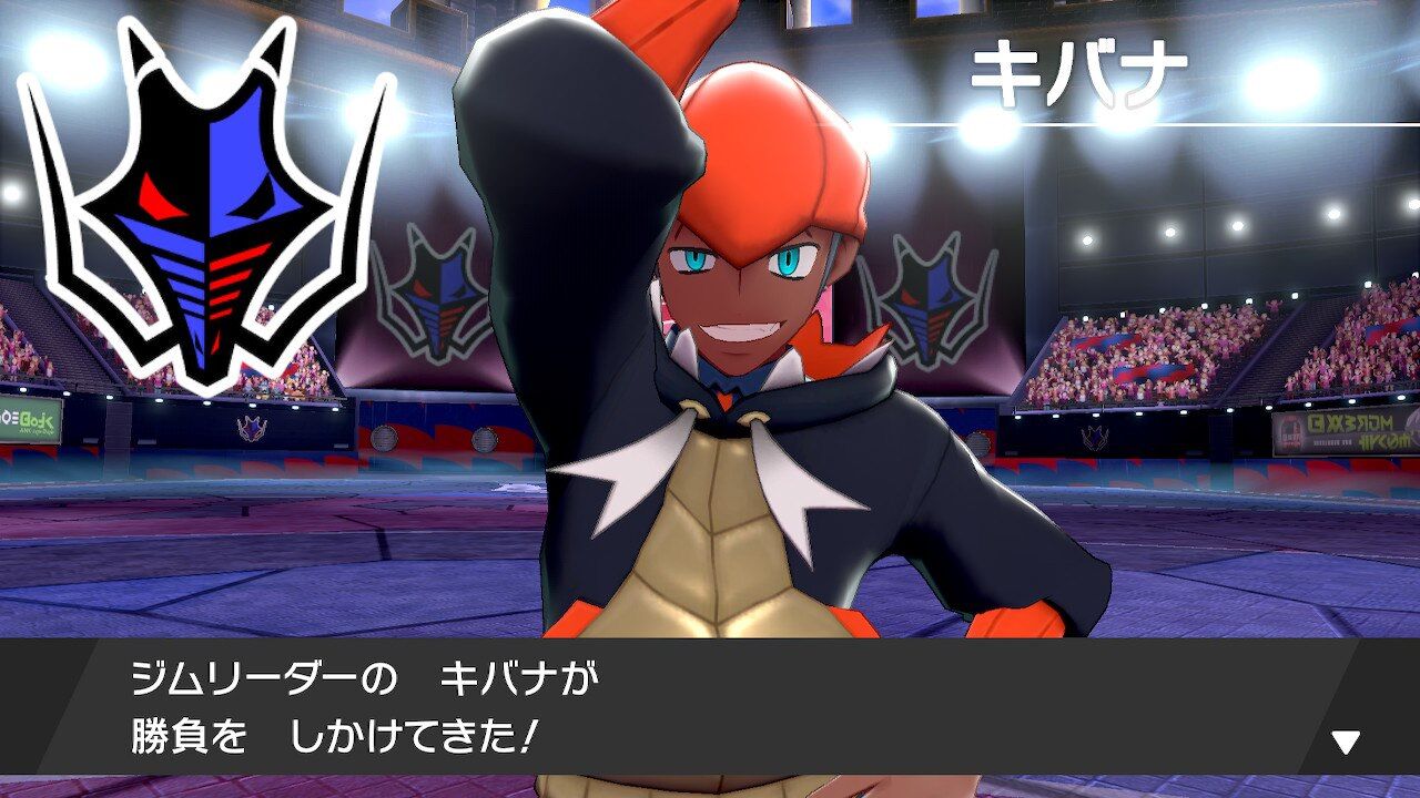 ポケモンの ちからって すげー ベンチと星空と花びら ポケモンの ちからって すげー ベンチと星空と花びら