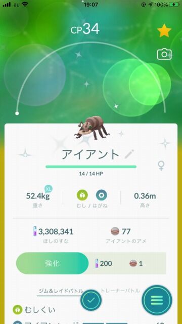 光は目に見えるものだけじゃない ベンチと星空と花びら