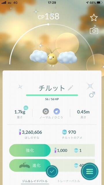さだめは 死よりも強いか ベンチと星空と花びら さだめは 死よりも強いか ベンチと星空と花びら