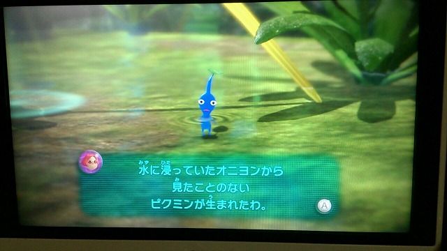 勢いがあるときは勢いに乗るッス これ ゲームの鉄則 ベンチと星空と花びら