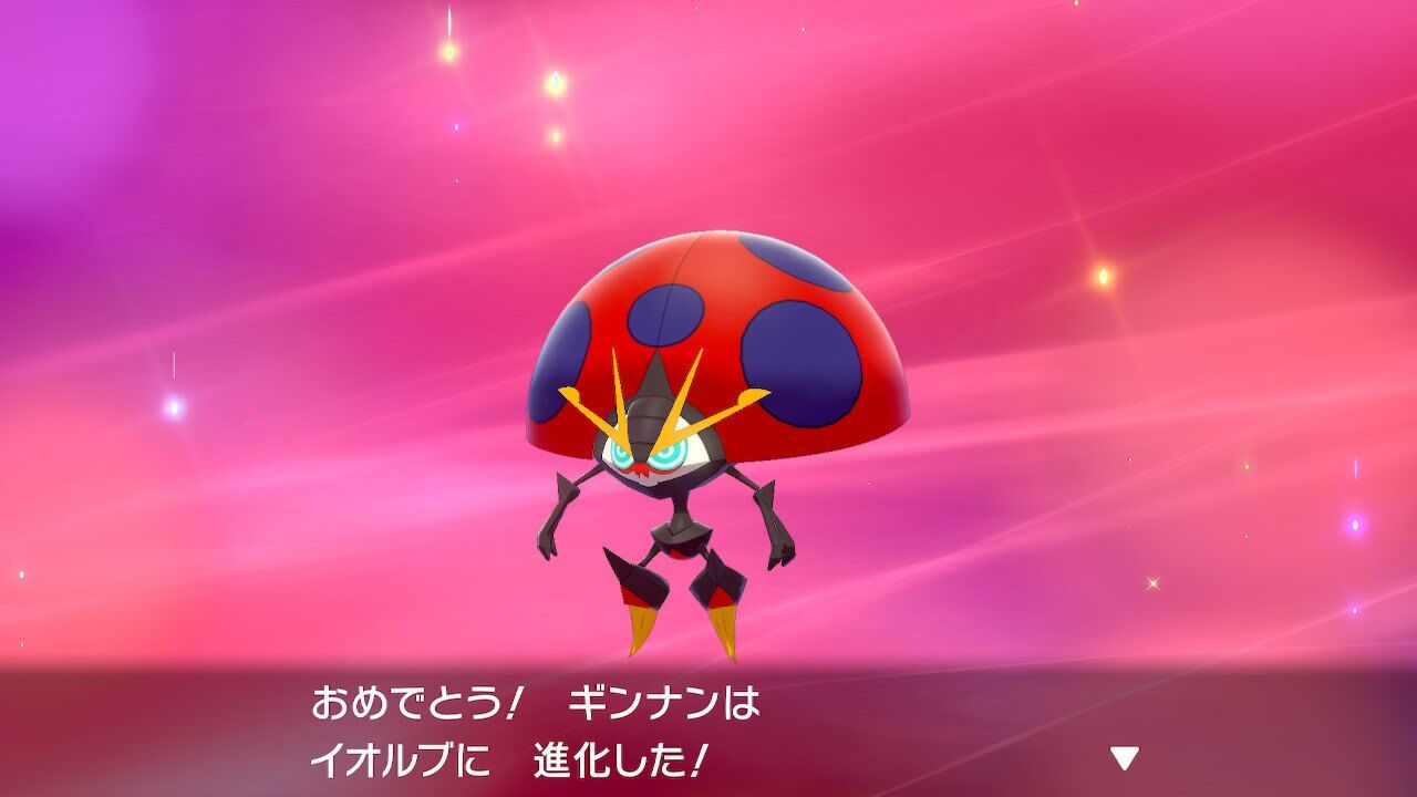全速力で未来も現在も駆け抜けろ ベンチと星空と花びら 全速力で未来も現在も駆け抜けろ ベンチと星空と花びら