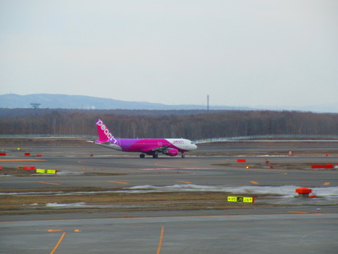 新潟空港に緊急着陸したpeach Aviationの件について 手海優八郎の鉄道中心ブログ