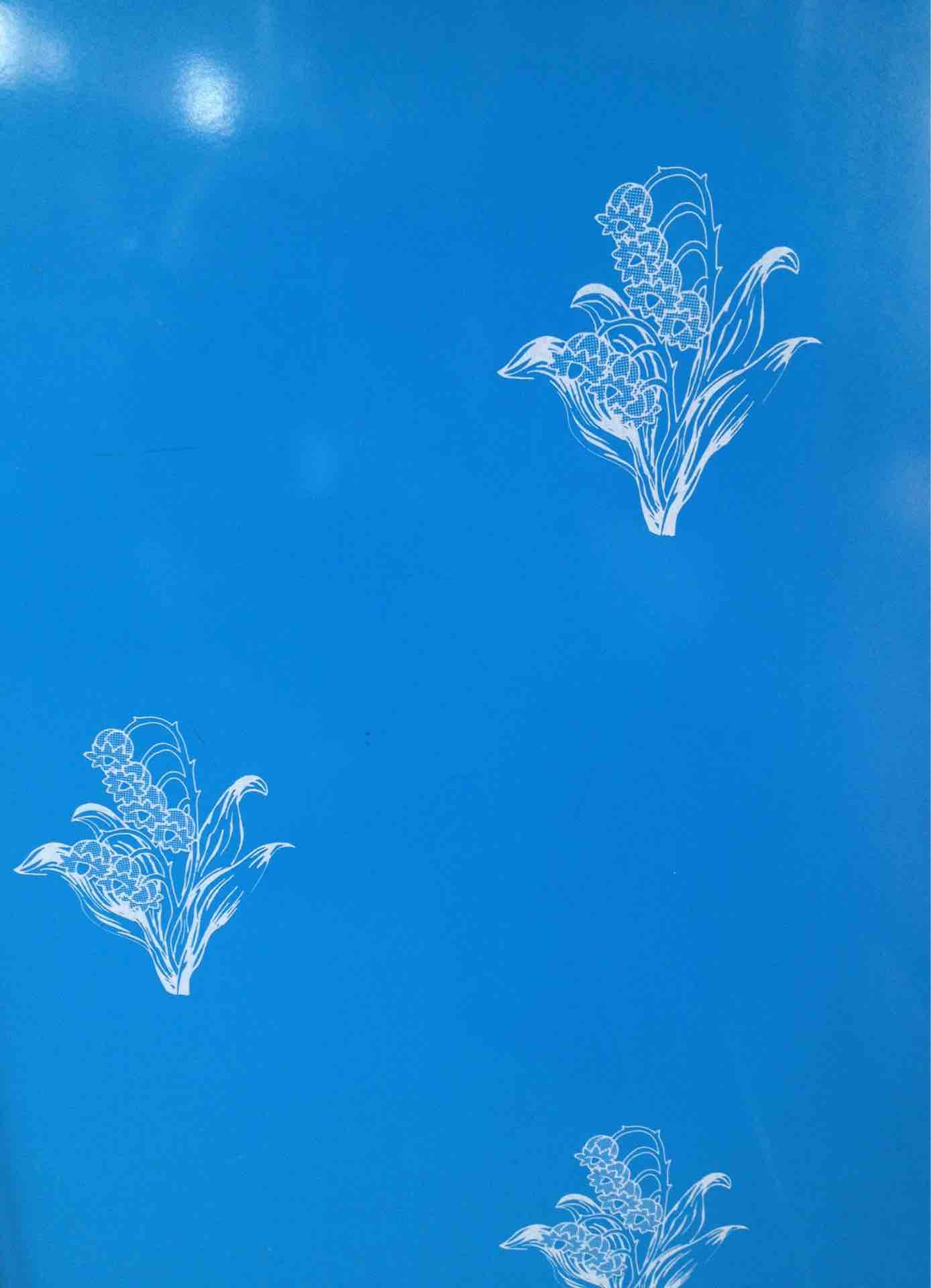 化粧板 ｊｒ北海道７２１系電車 デッキ 空色 手海優八郎の鉄道中心ブログ