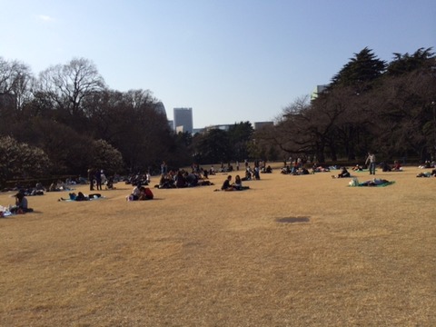 写真 (18)