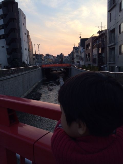 写真 (19)