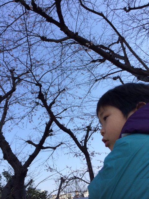 写真 (15)