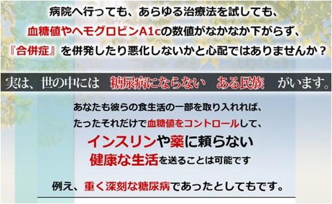 【荒木式】糖尿病克服プログラム1