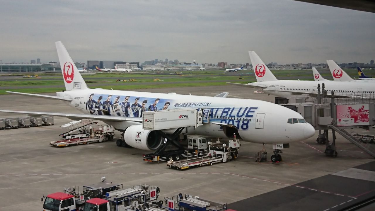 JAL ふら サムライブルー2018 応援ジェット1号機 BOEING-777