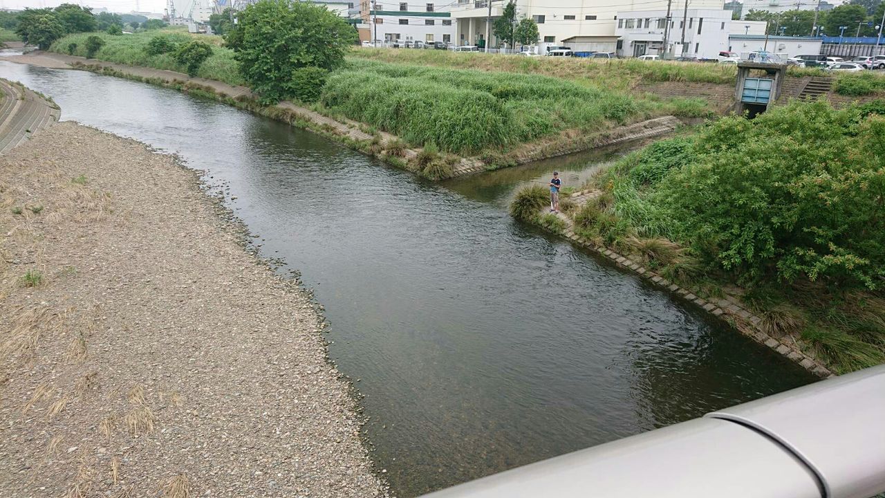 柳瀬川 おっさんのバス釣り日記