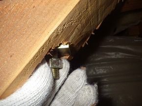 IMGP9793