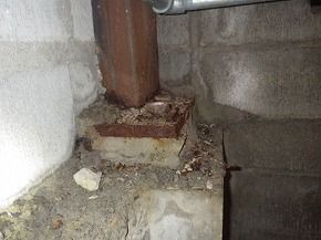 IMGP3679