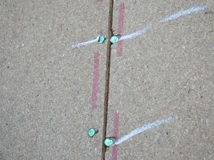 IMGP0837