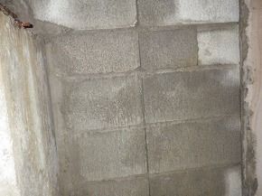 IMGP3681