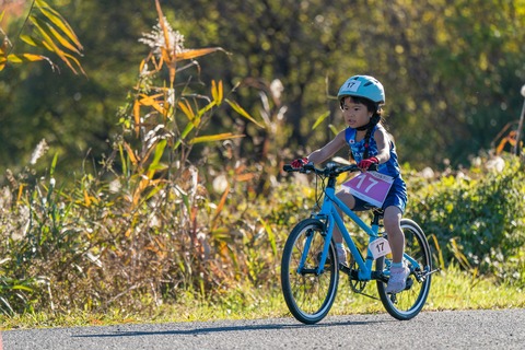 2024-12-01_09-17-49-3