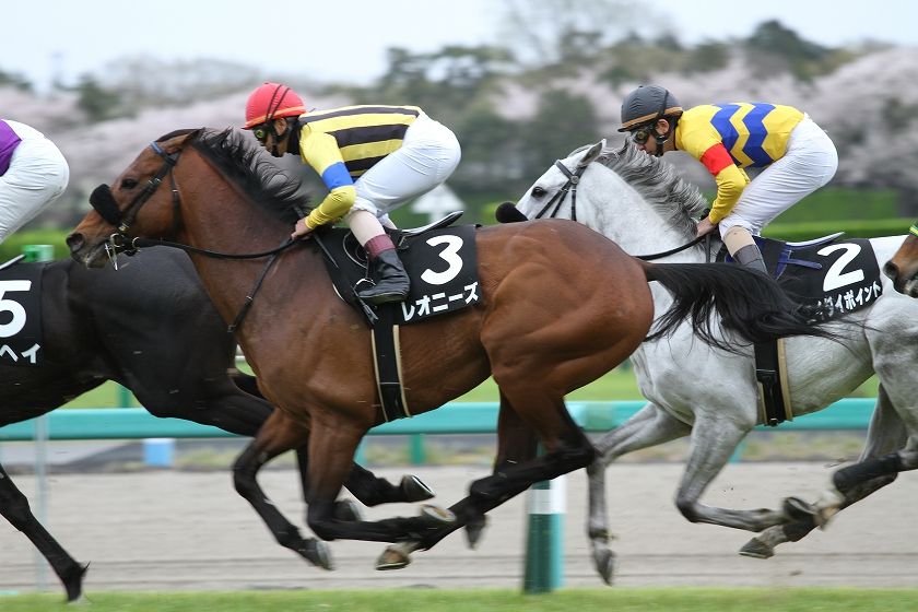 レオニーズ 本日も快晴