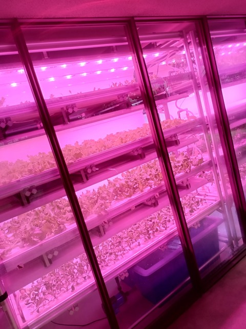 1000001613