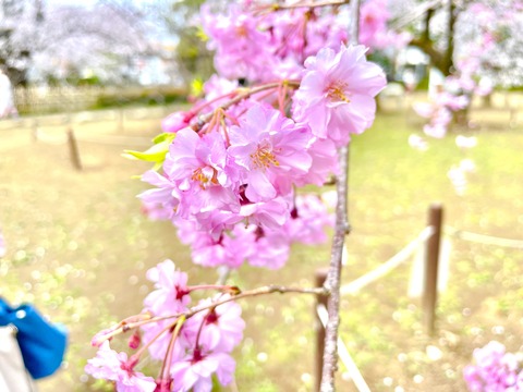 034C7B8B-74D3-48C8-B463-A5DF8B1F47A2