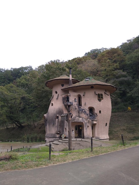 DSC_2118