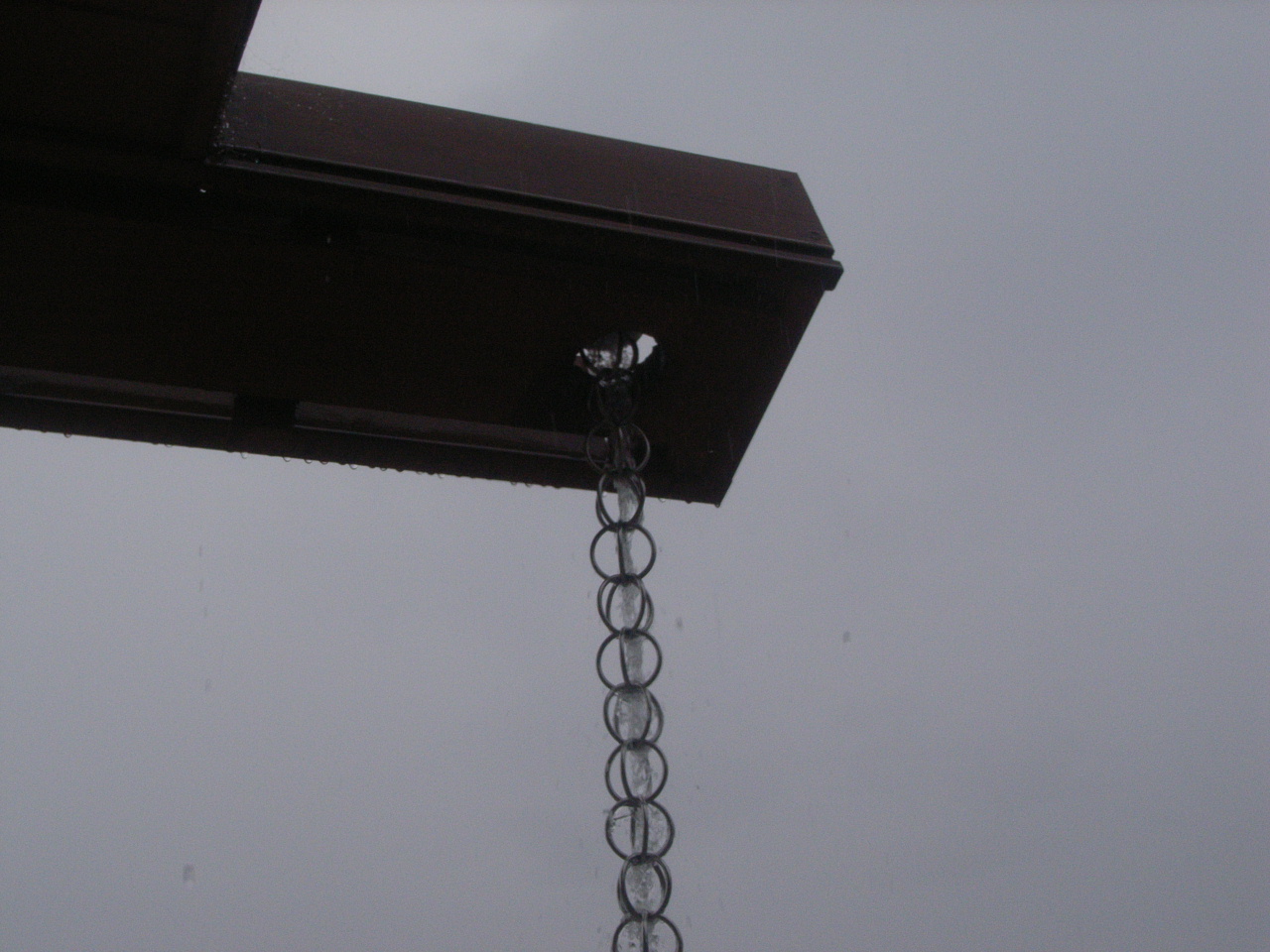 雨も楽しい鎖樋 いい家がほしい