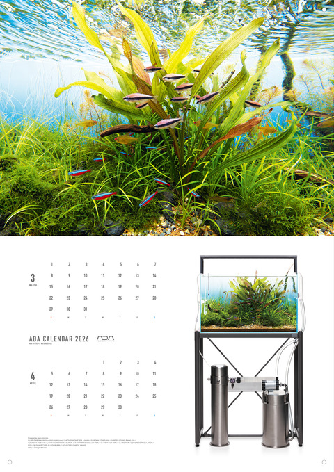CALENDAR 1