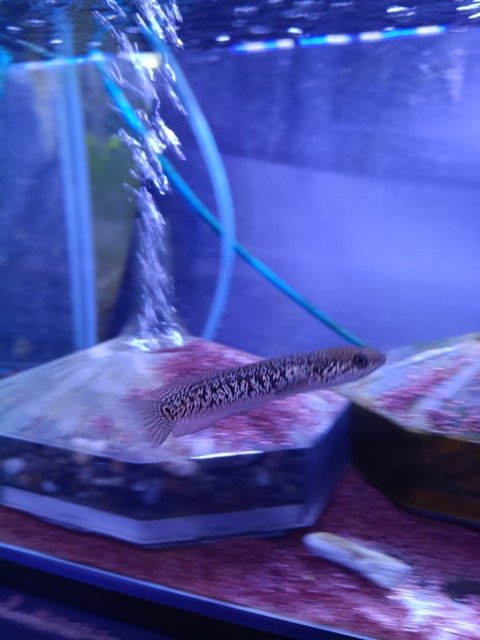 1000000571
