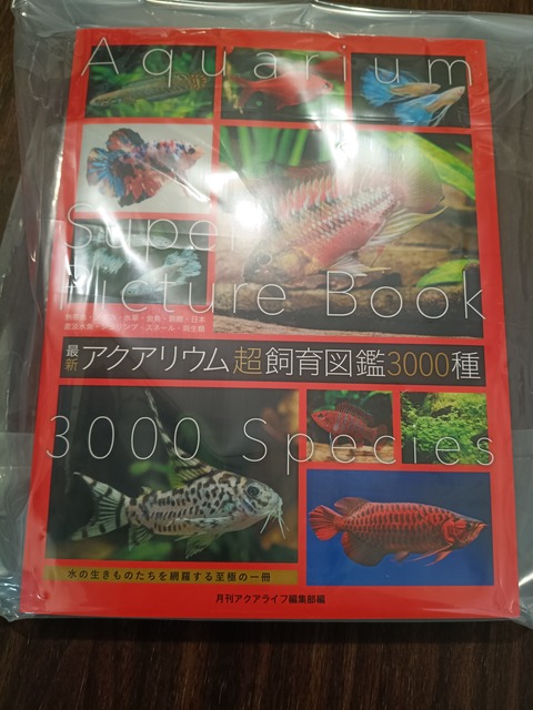 1000000645