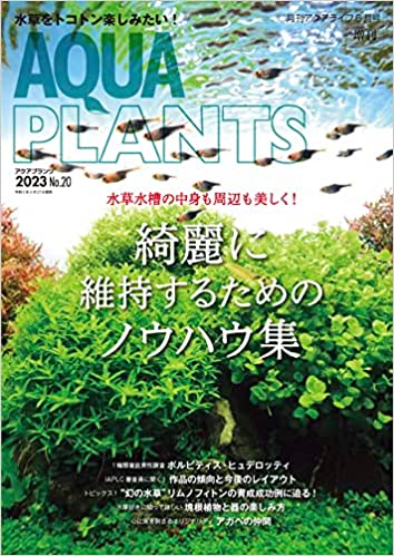 ap20cover