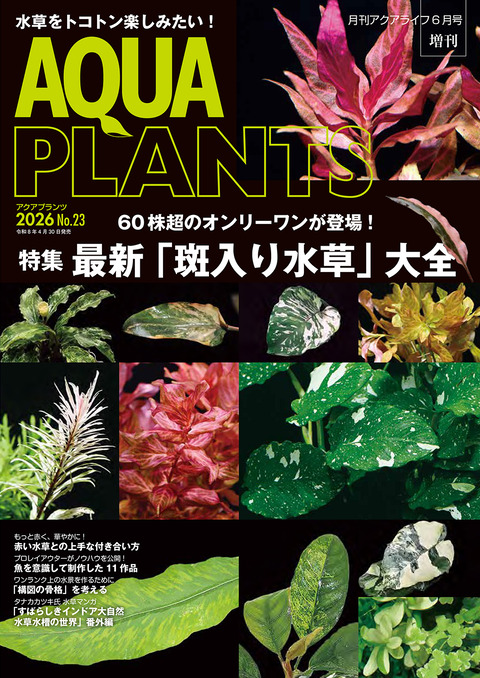 AP23_cover