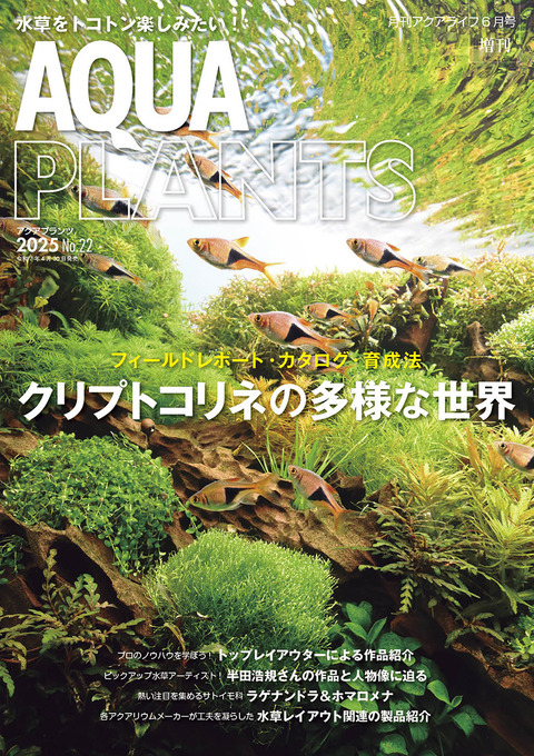 AP22_cover