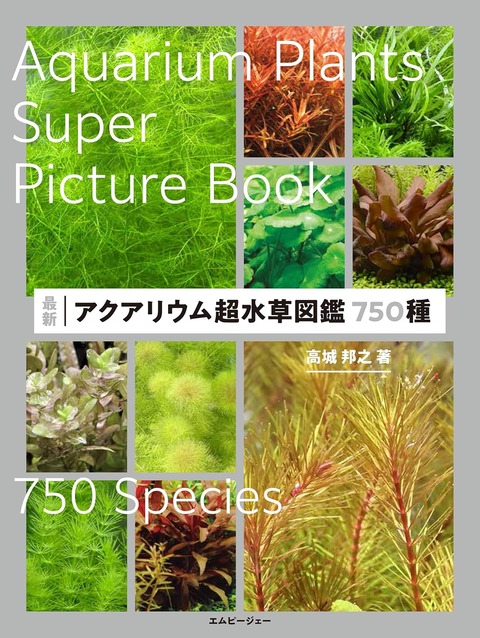 750p
