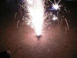 0807 fireflower