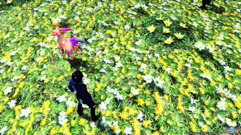 pso20160425_041714_020